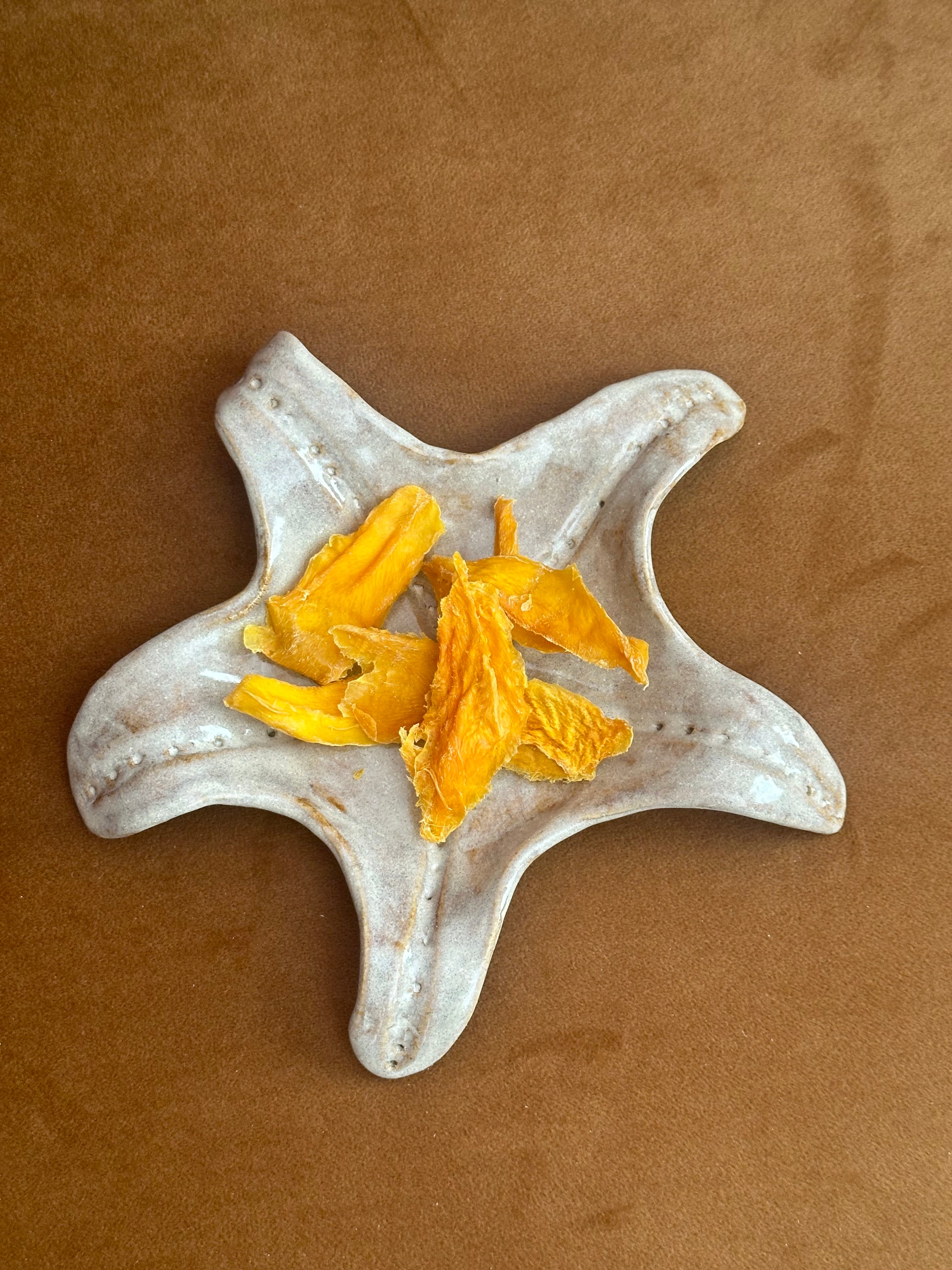 Starfish ~ Bowl