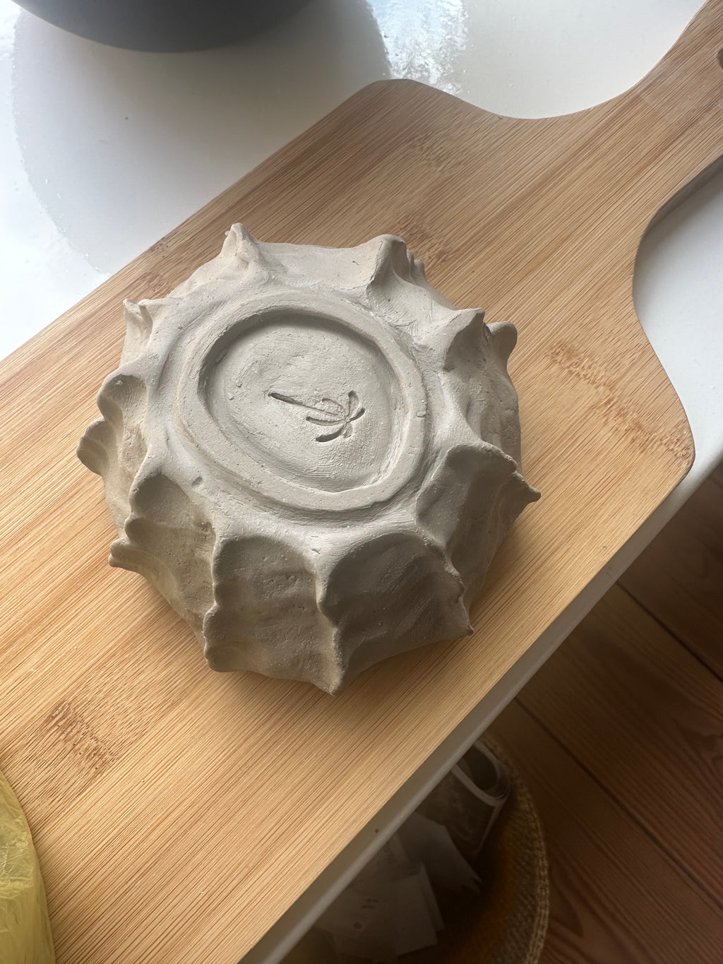 Sea Shell ~ Bowl