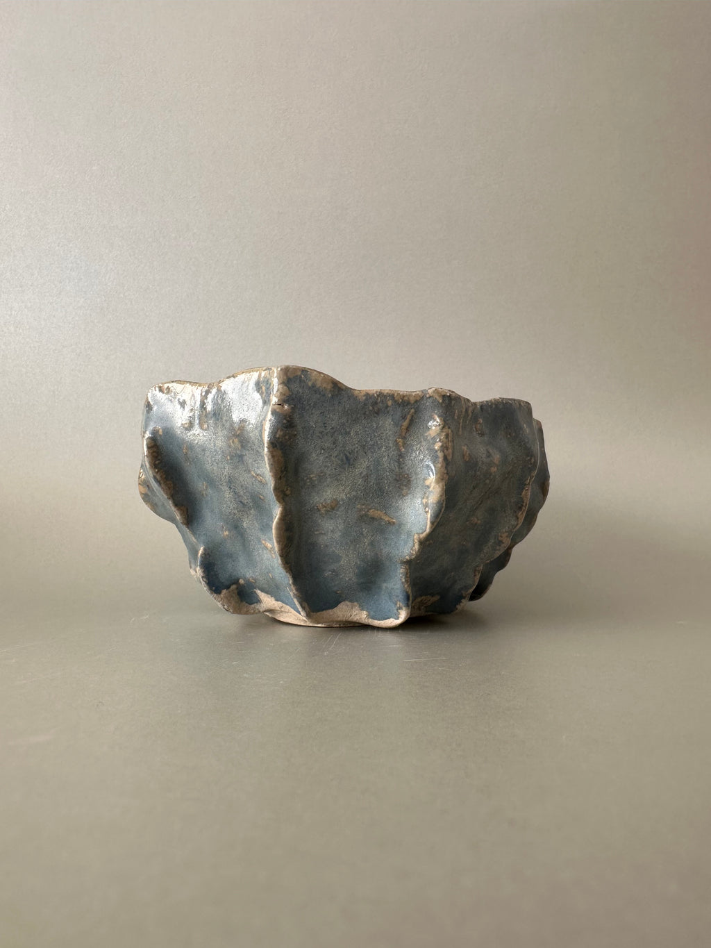 Sea Shell ~ Bowl